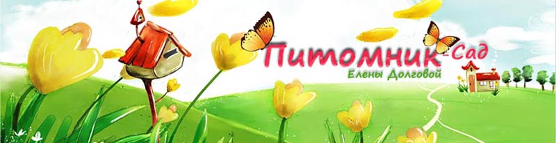 http://www.floraprice.ru/dachnye-magaziny/dolgova/head.jpg