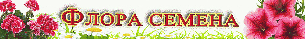 Флора Магазин Семян